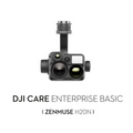 DJI Care Enterprise Basic (H20N) NA