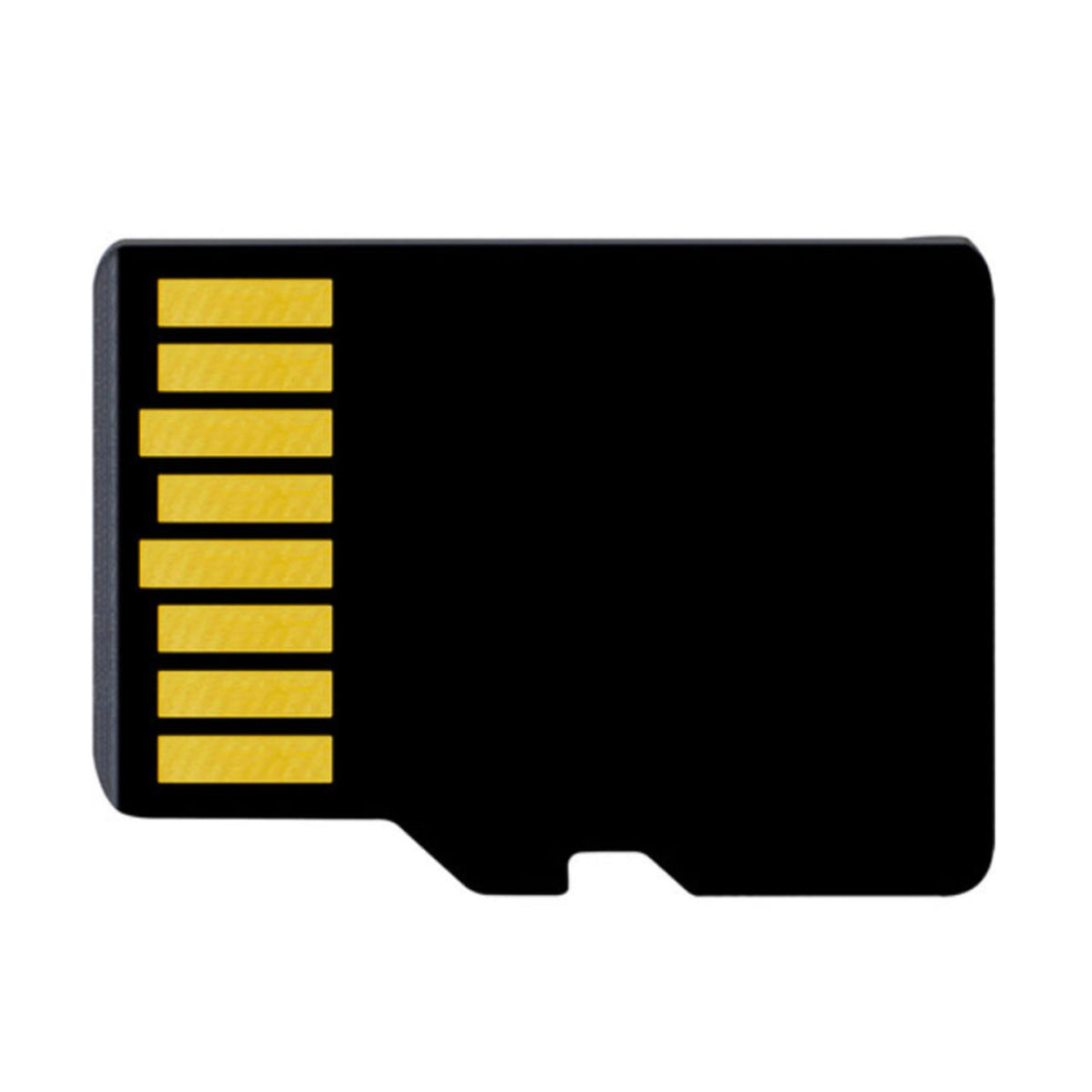 Delkin 32GB Action Hyperspeed MicroSDHC V30