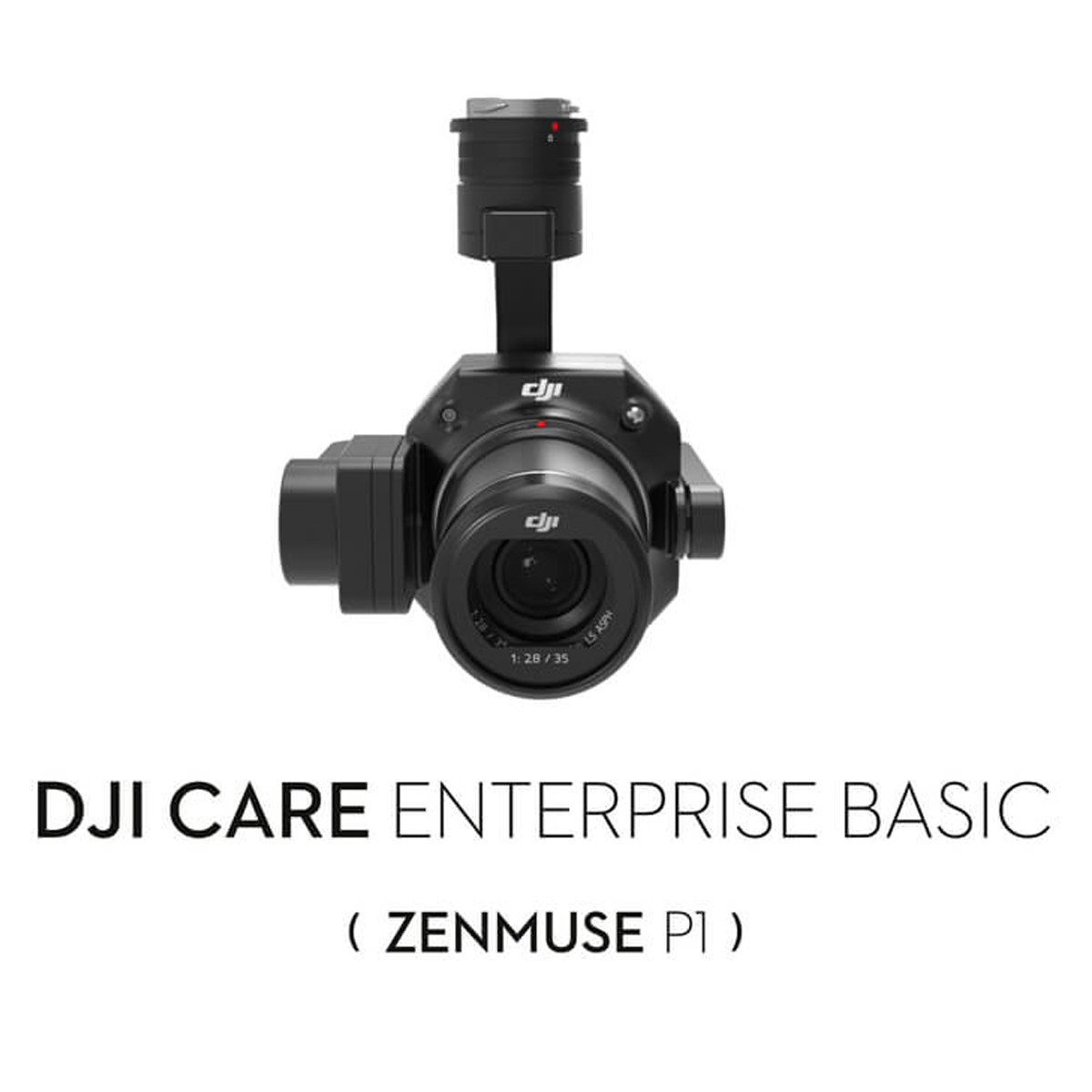 DJI Care Enterprise Basic (P1) NA